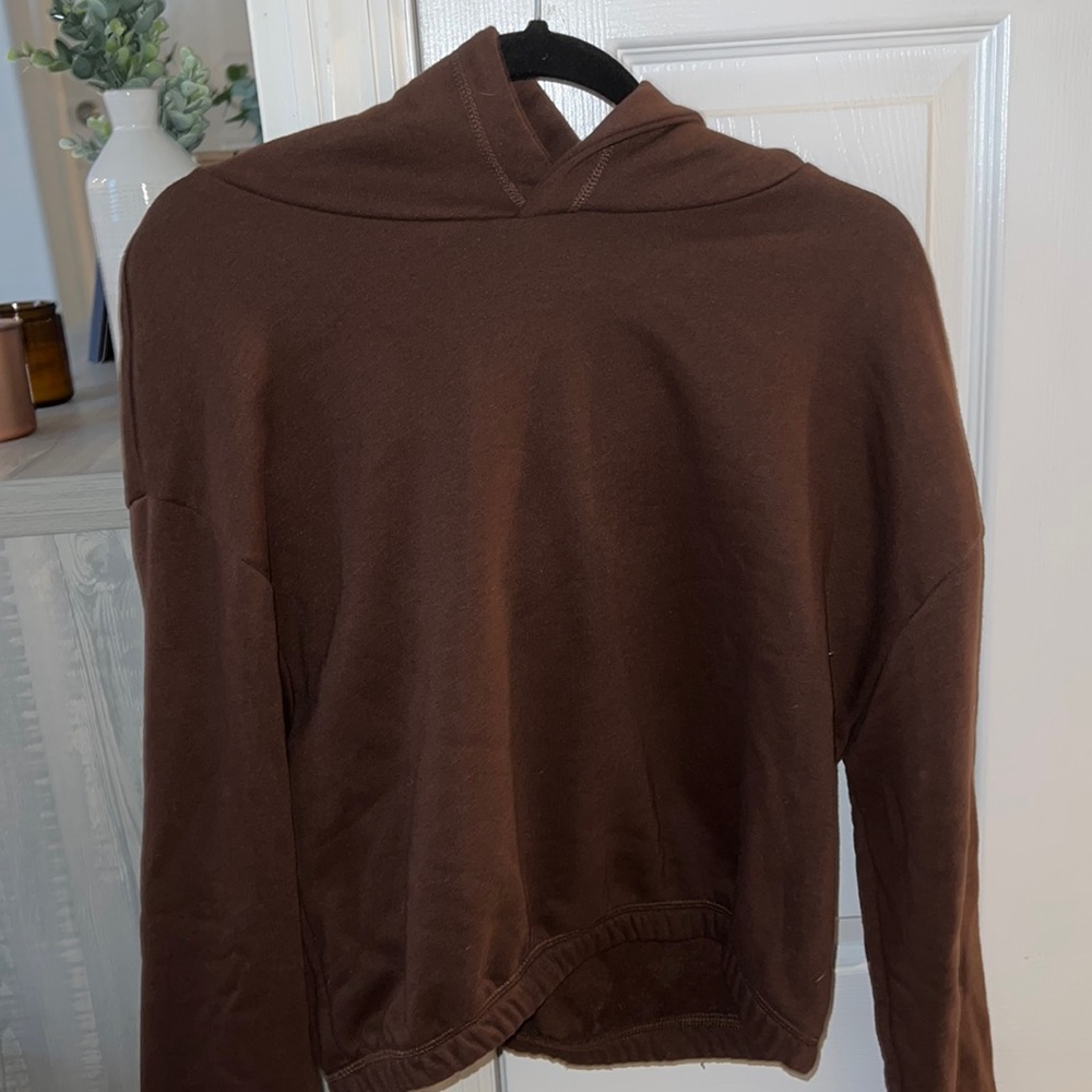 ZARA Brown Crop Hoodie
